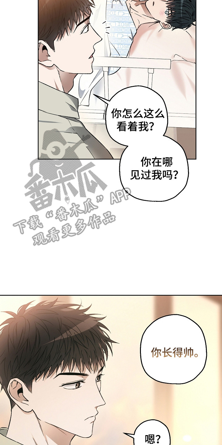 猛兽育儿书漫画,第6章：你真好看2图