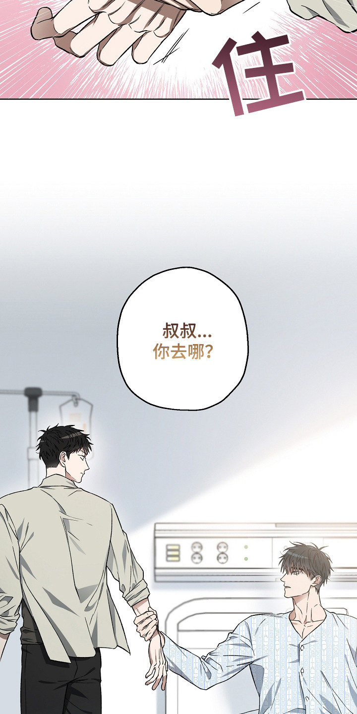 猛兽育儿书漫画,第4章：失忆1图
