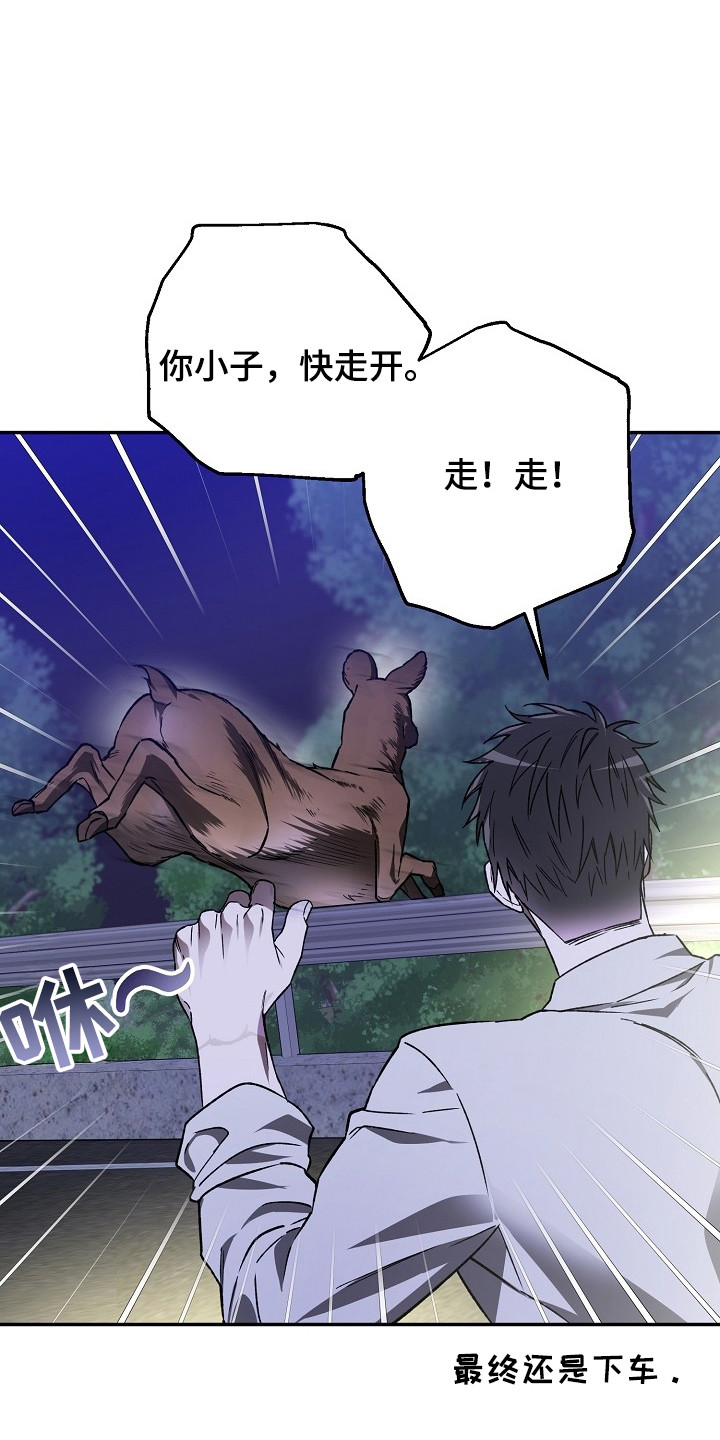 猛兽育儿书漫画,第3章：正巧撞见5图