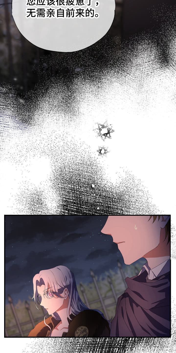 披风下的誓言漫画,第3章：先抓起来3图