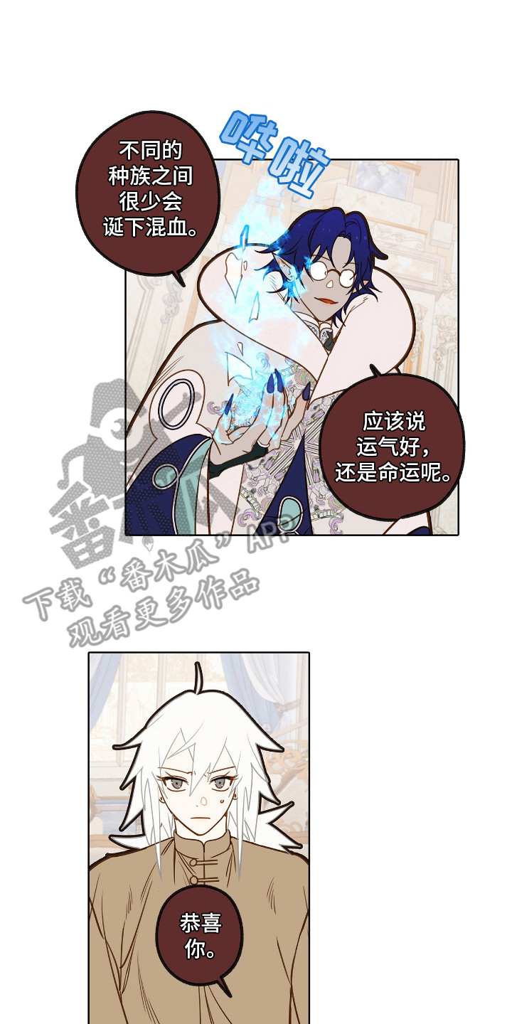 魔渊誓约漫画,第13章：检查3图