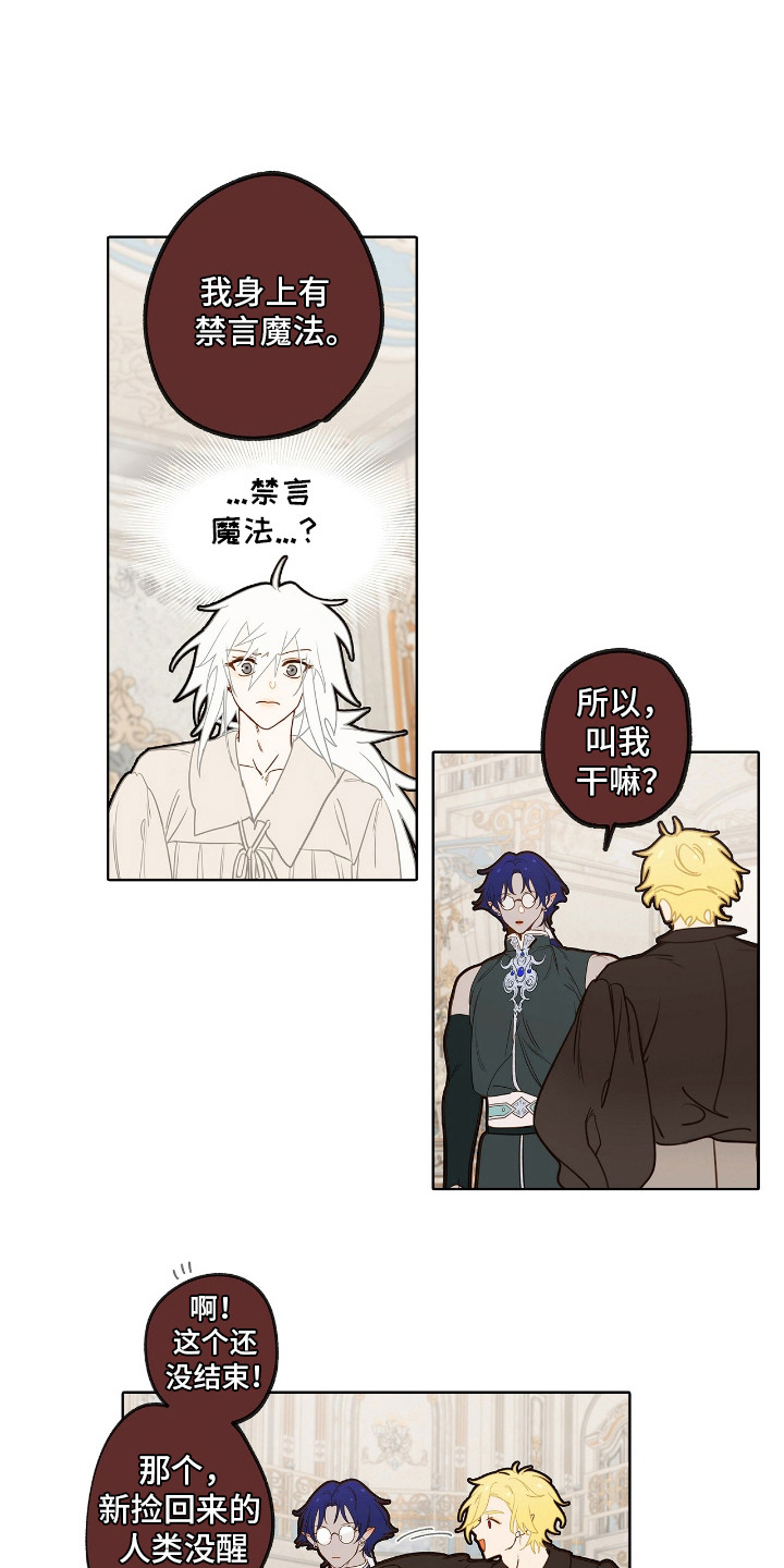 魔渊誓约漫画,第10章：签订契约1图