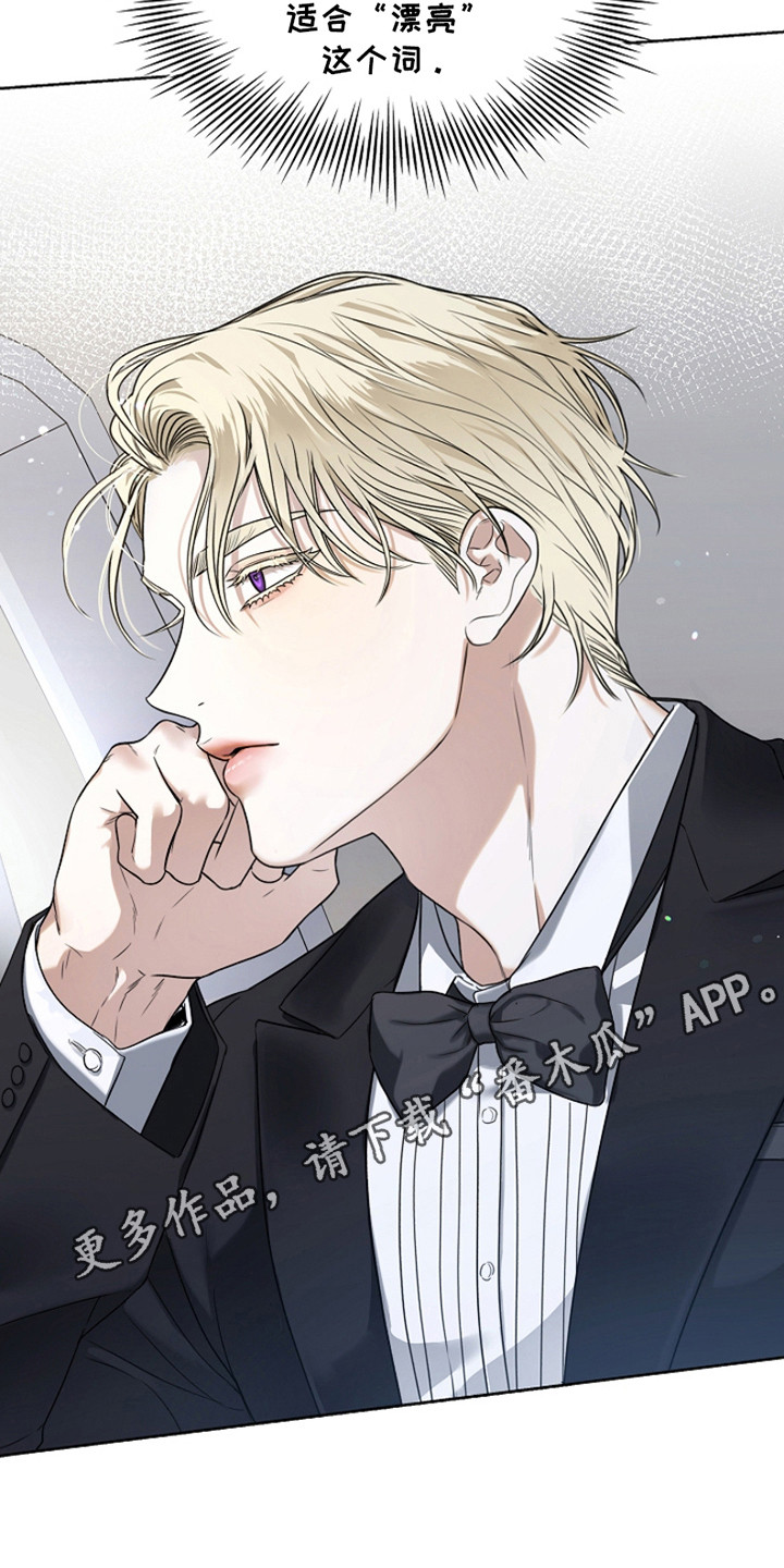 强制吻痕漫画,第1章：大明星1图