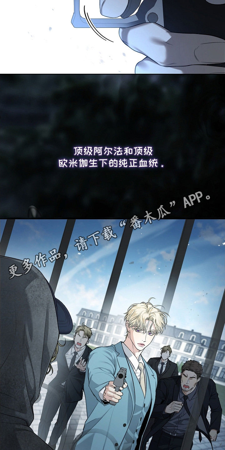 强制吻痕漫画,第10章：狗仔1图