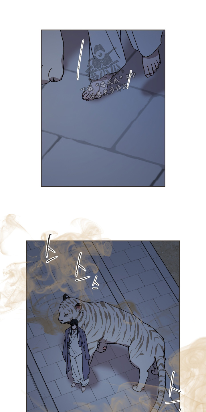 白虎之魂礼包漫画,第29章：夜空2图