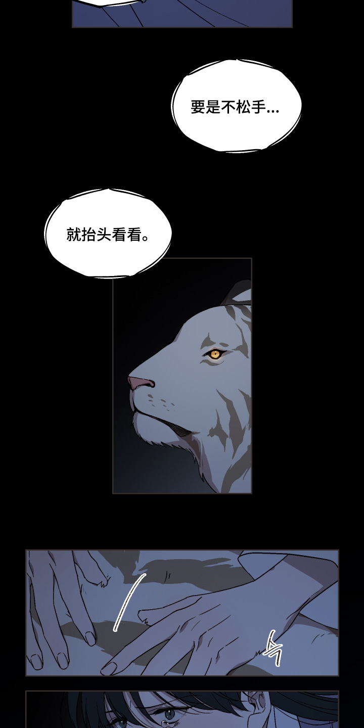白虎之魂礼包漫画,第29章：夜空2图