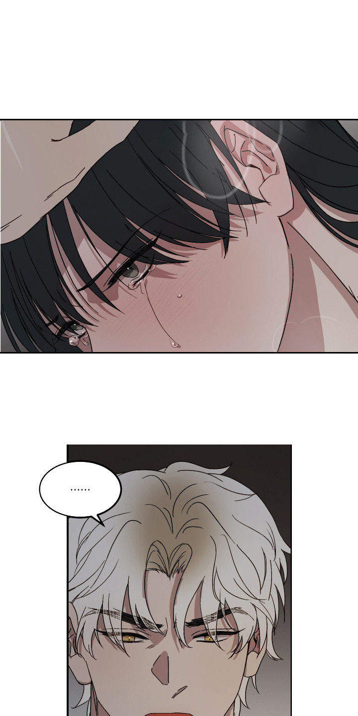 白虎之王漫画,第10章：安慰1图
