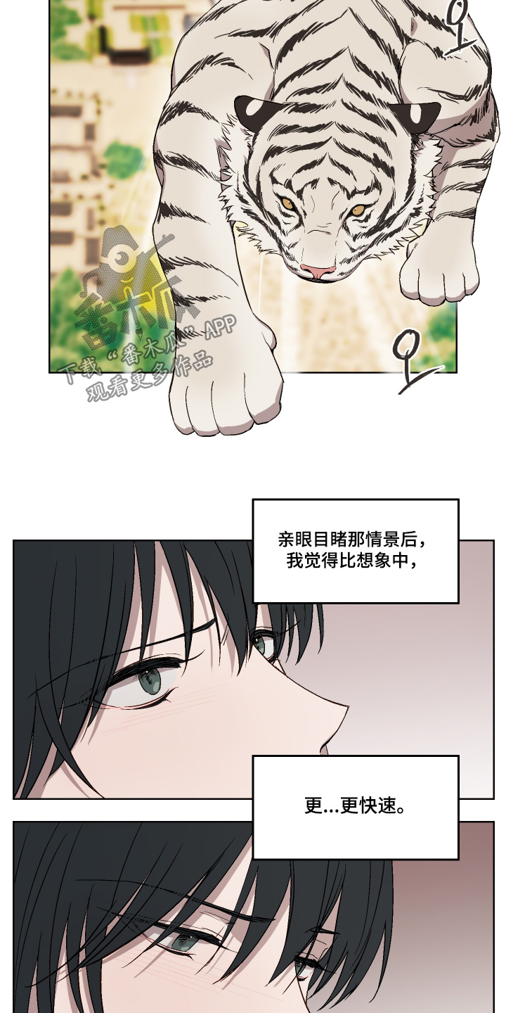 白虎之王漫画,第23章：看书3图