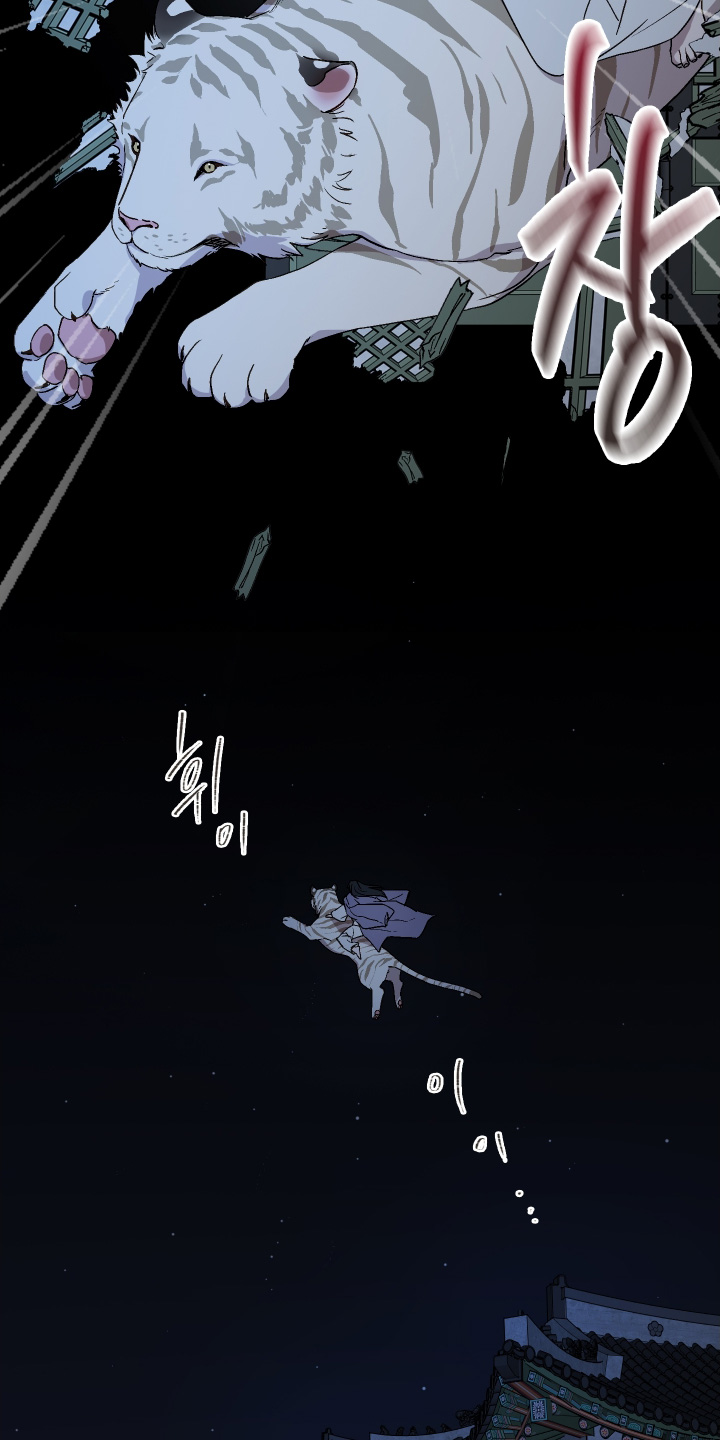 白虎之王漫画,第29章：夜空2图