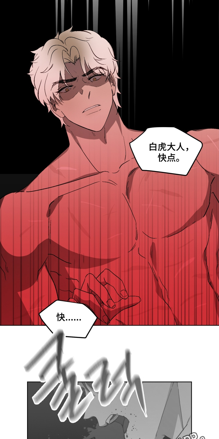 白虎之王漫画,第20章：救命3图