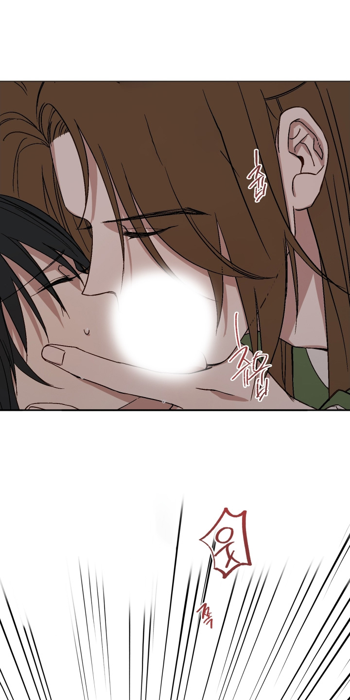 白虎之王漫画,第27章：这是命令1图