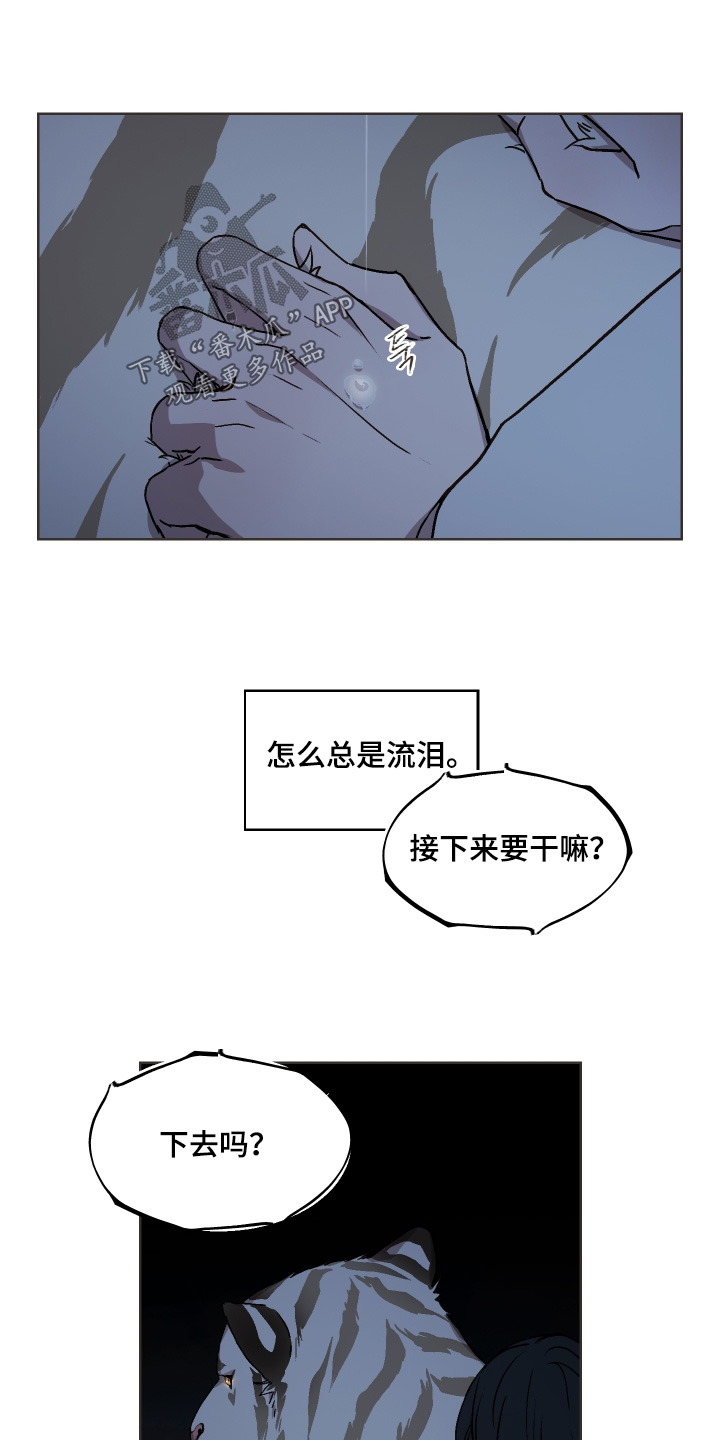 白虎之魂礼包漫画,第29章：夜空5图