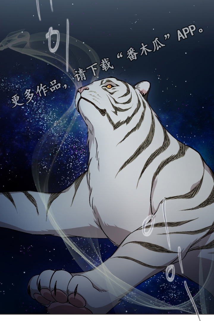 白虎之王漫画,第27章：这是命令4图