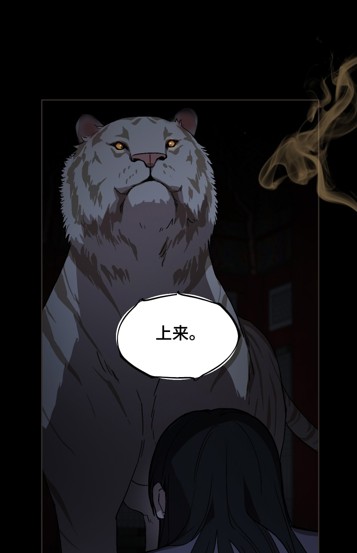 白虎之王漫画,第29章：夜空1图