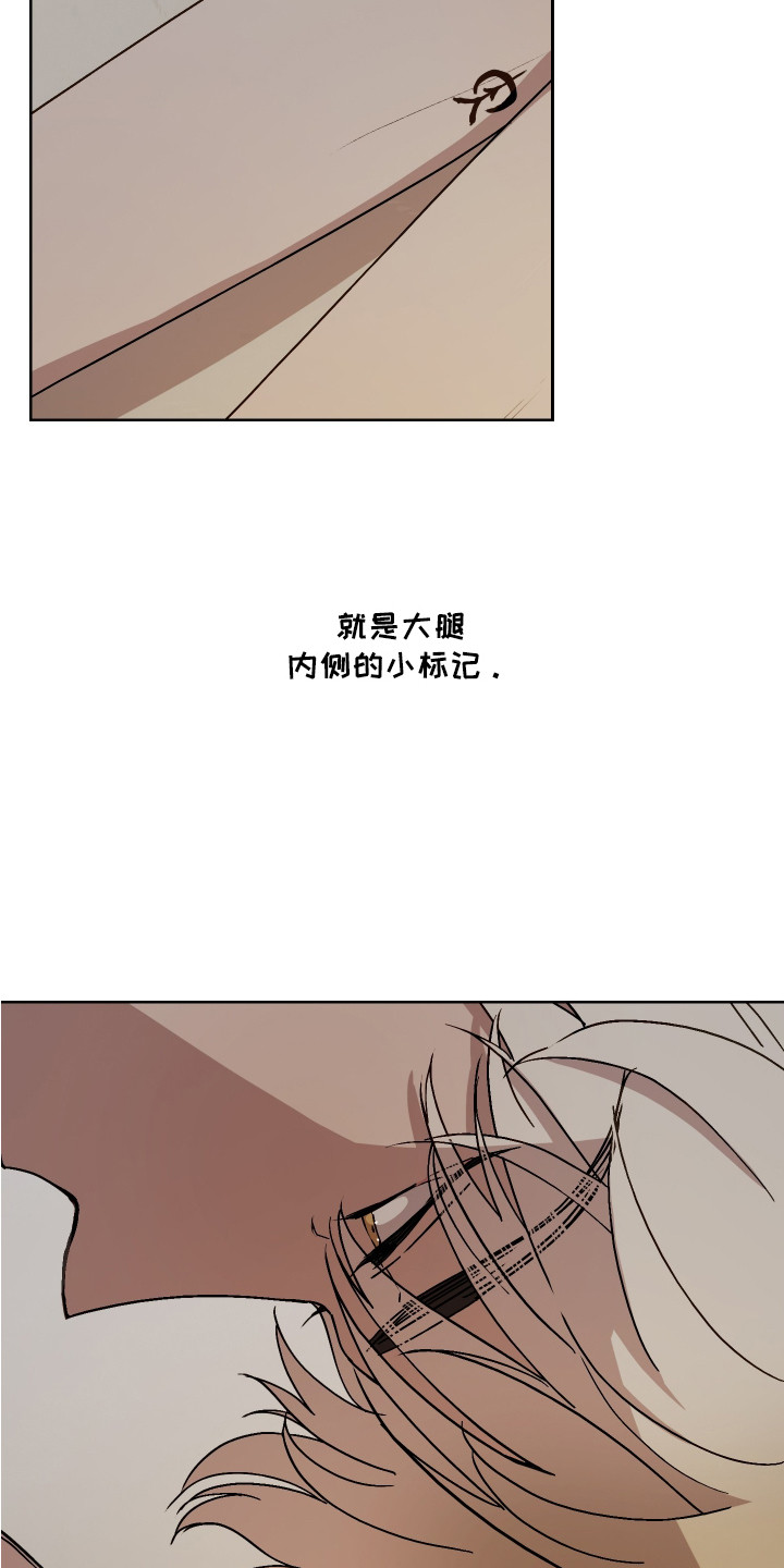 白虎之王漫画,第4章： 神兽4图