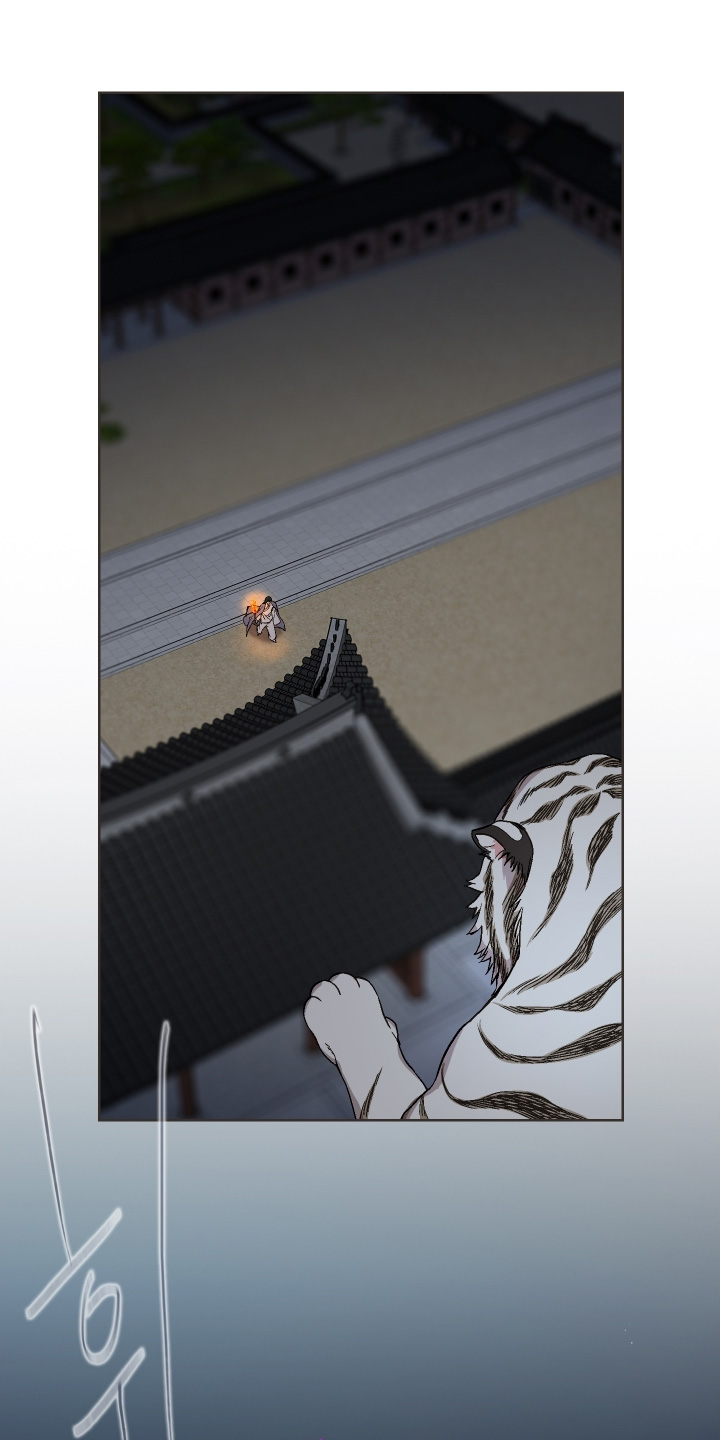 白虎之王漫画,第27章：这是命令3图