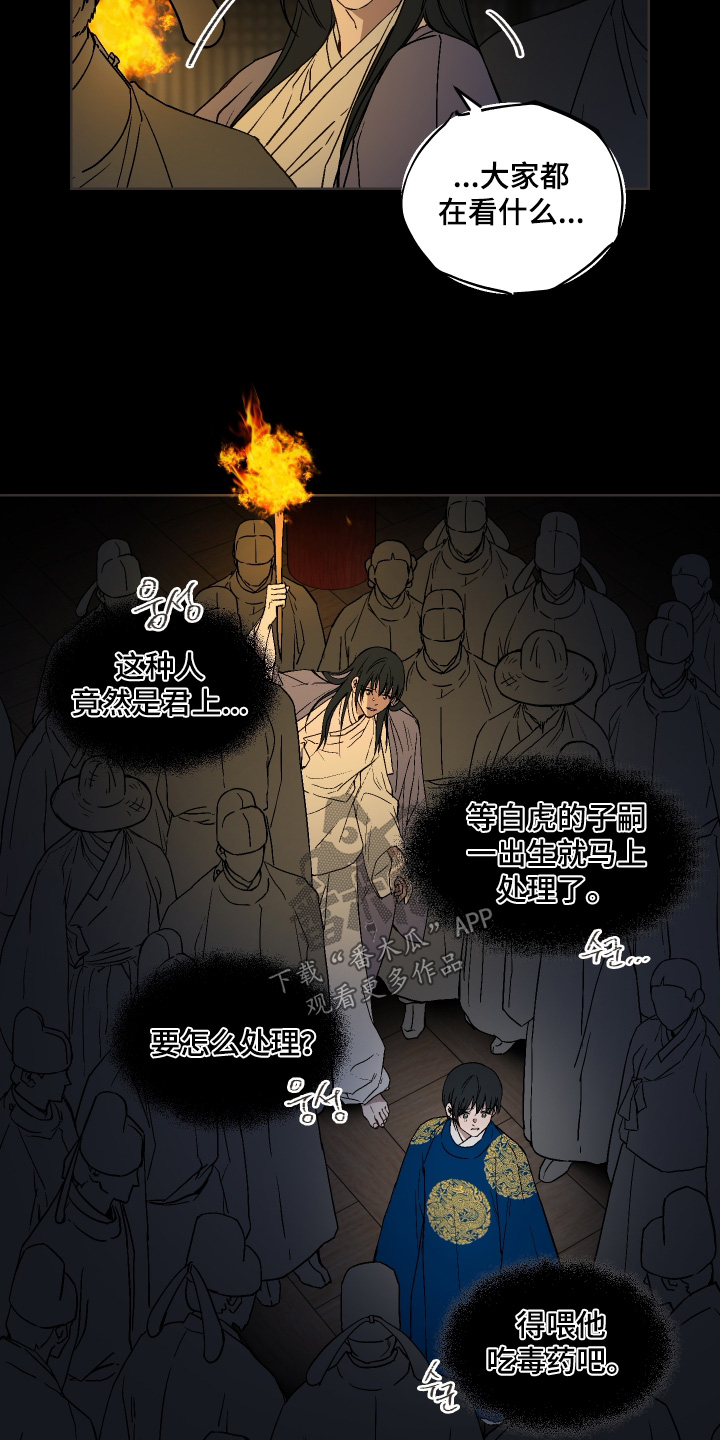 白虎之王漫画,第28章：杀了我3图