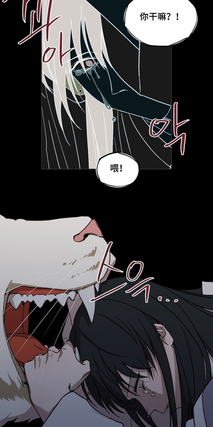 白虎之王漫画,第28章：杀了我2图