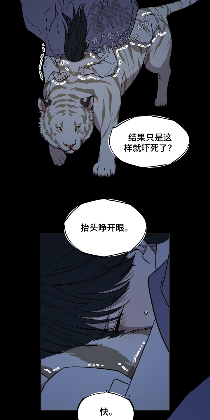 白虎之王漫画,第29章：夜空4图