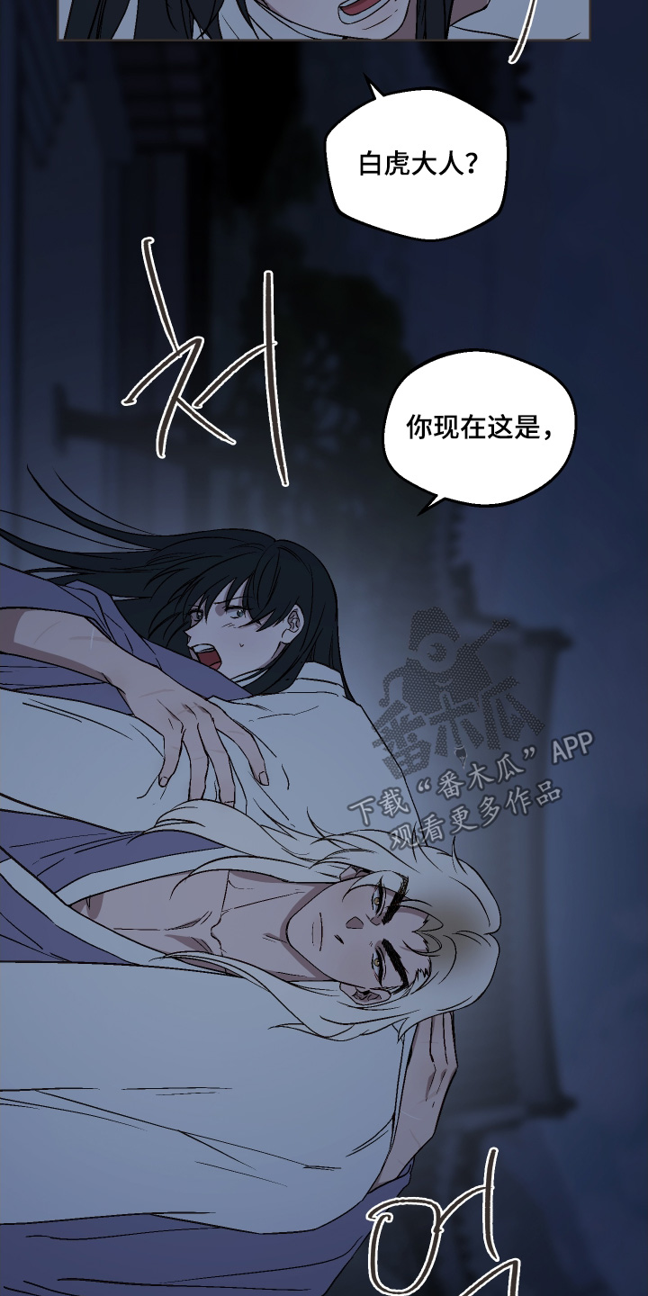 白虎之王漫画,第30章：要去哪里1图