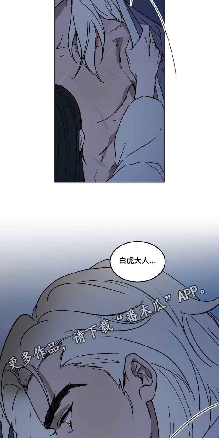 白虎之魂礼包漫画,第29章：夜空5图