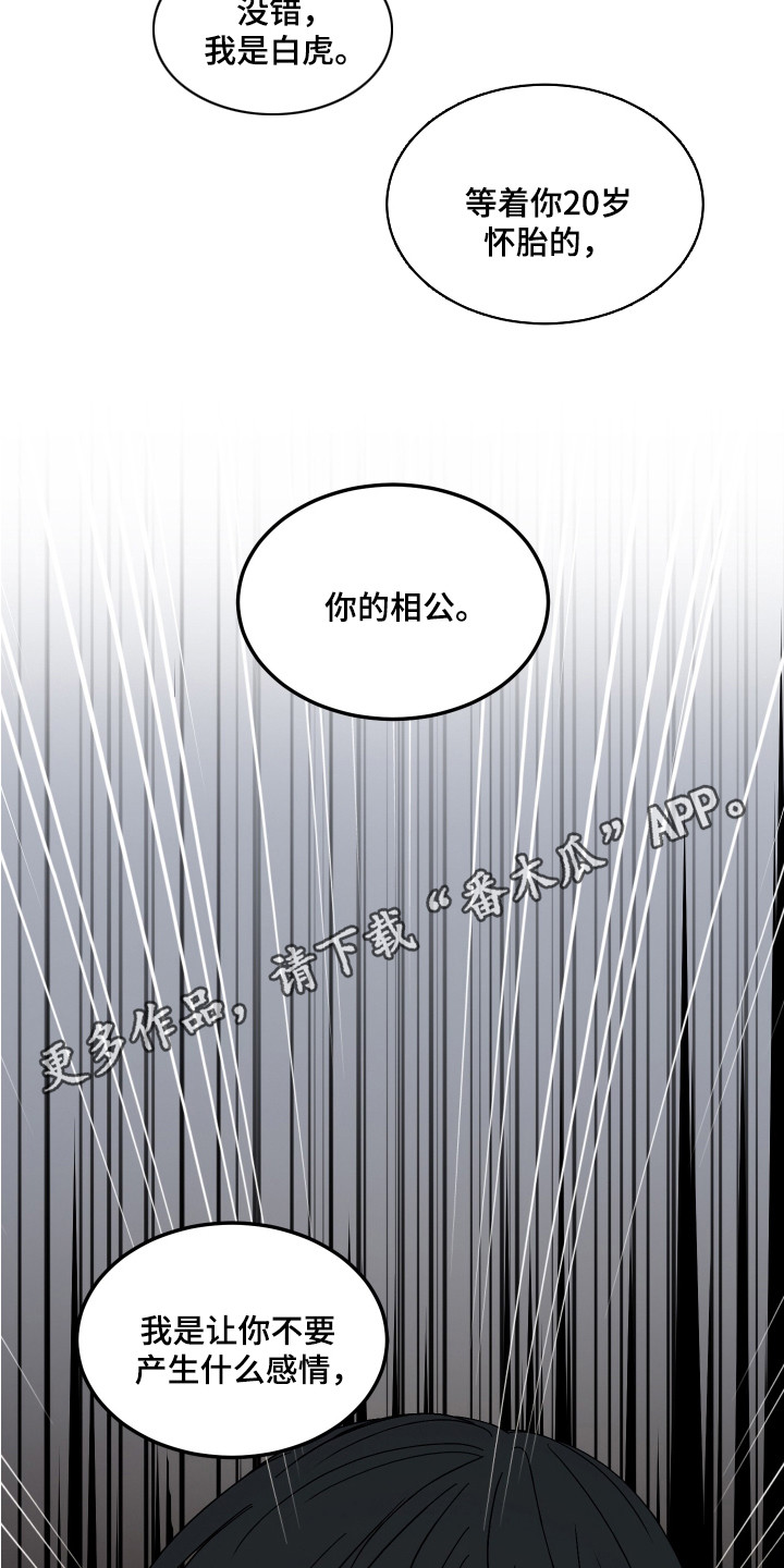 白虎之王漫画,第10章：安慰1图