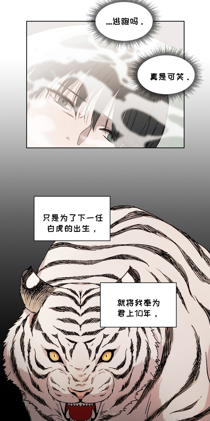 白虎之王漫画,第3章：郎君3图