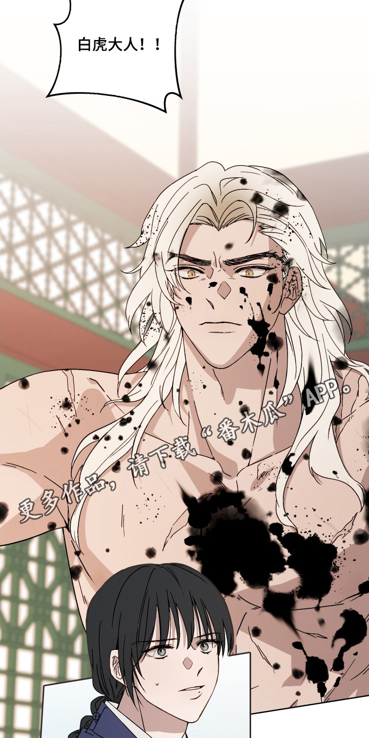 白虎之王漫画,第2章：白虎1图