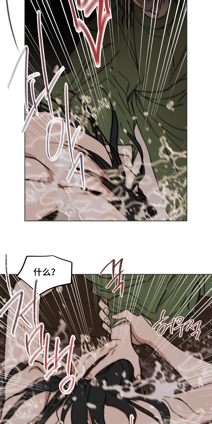 白虎之王漫画,第27章：这是命令5图