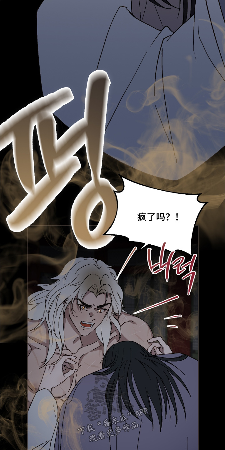 白虎之王漫画,第28章：杀了我3图