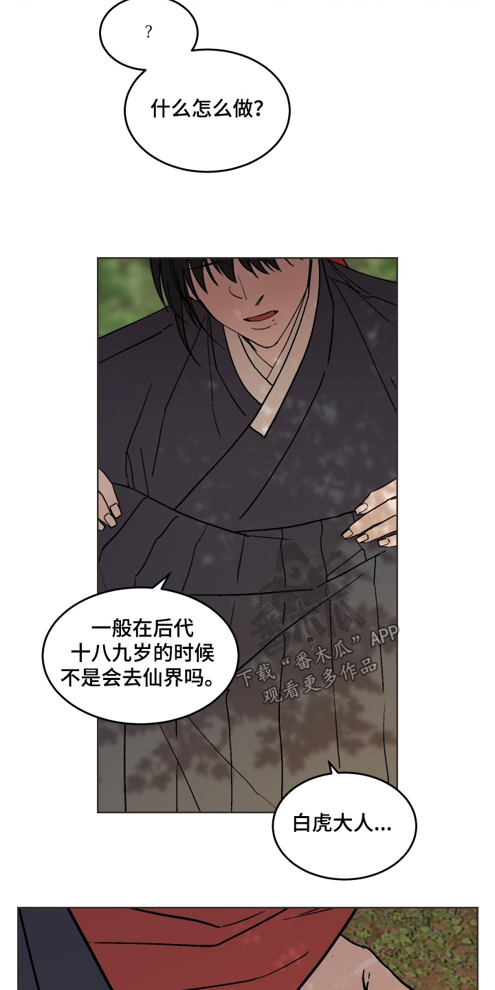 白虎之王漫画,第37章：怎么做3图