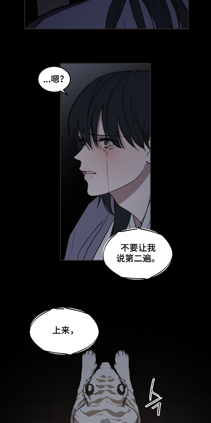 白虎之王漫画,第29章：夜空2图