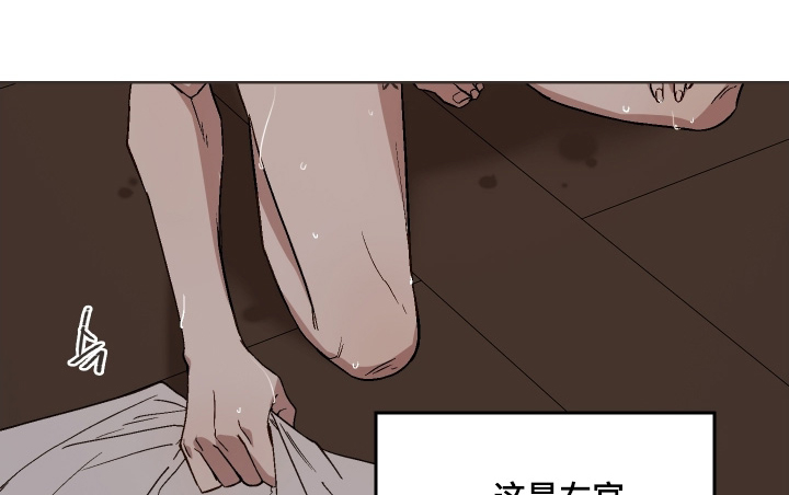 白虎之王漫画,第27章：这是命令5图