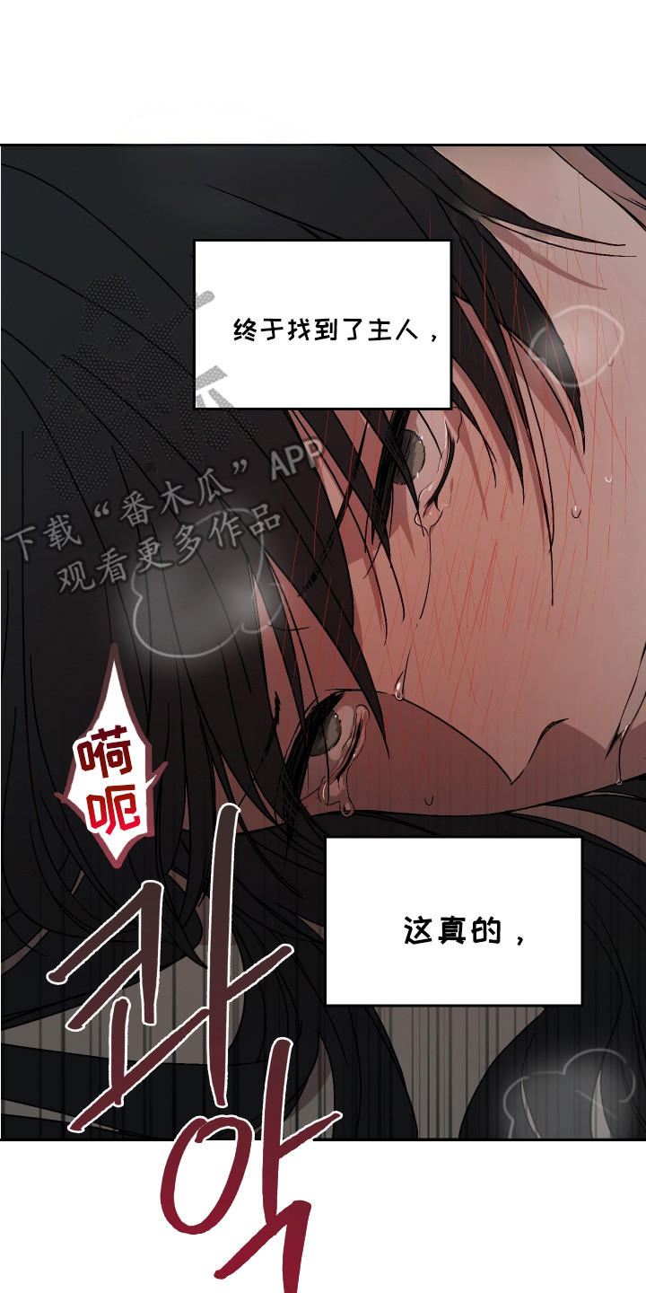 白虎之魂礼包漫画,第5章：名字4图
