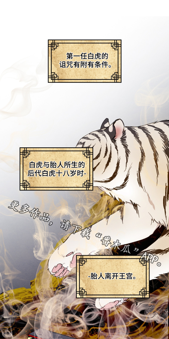白虎之王漫画,第25章：你想做什么1图