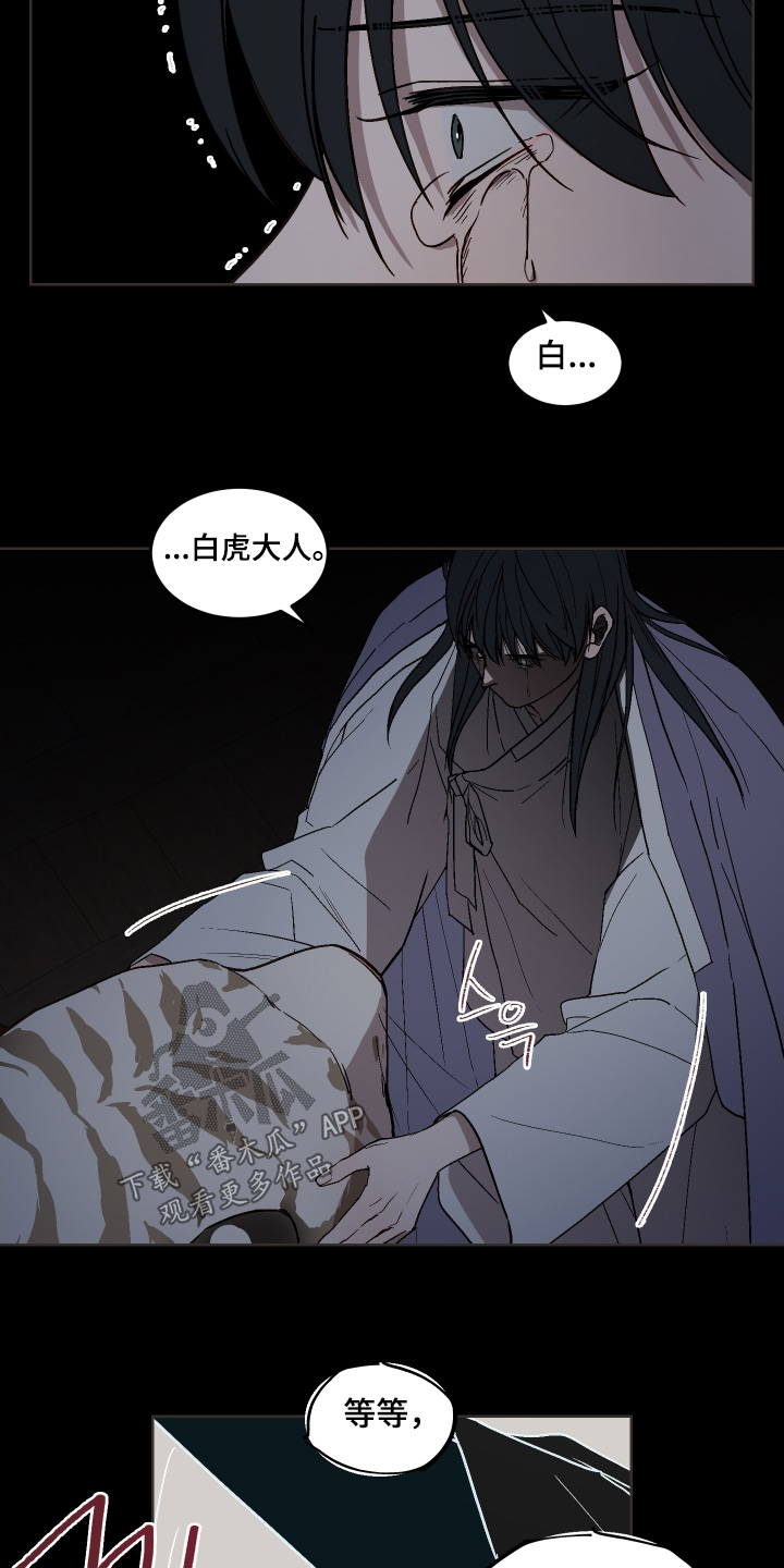 白虎之王漫画,第28章：杀了我1图