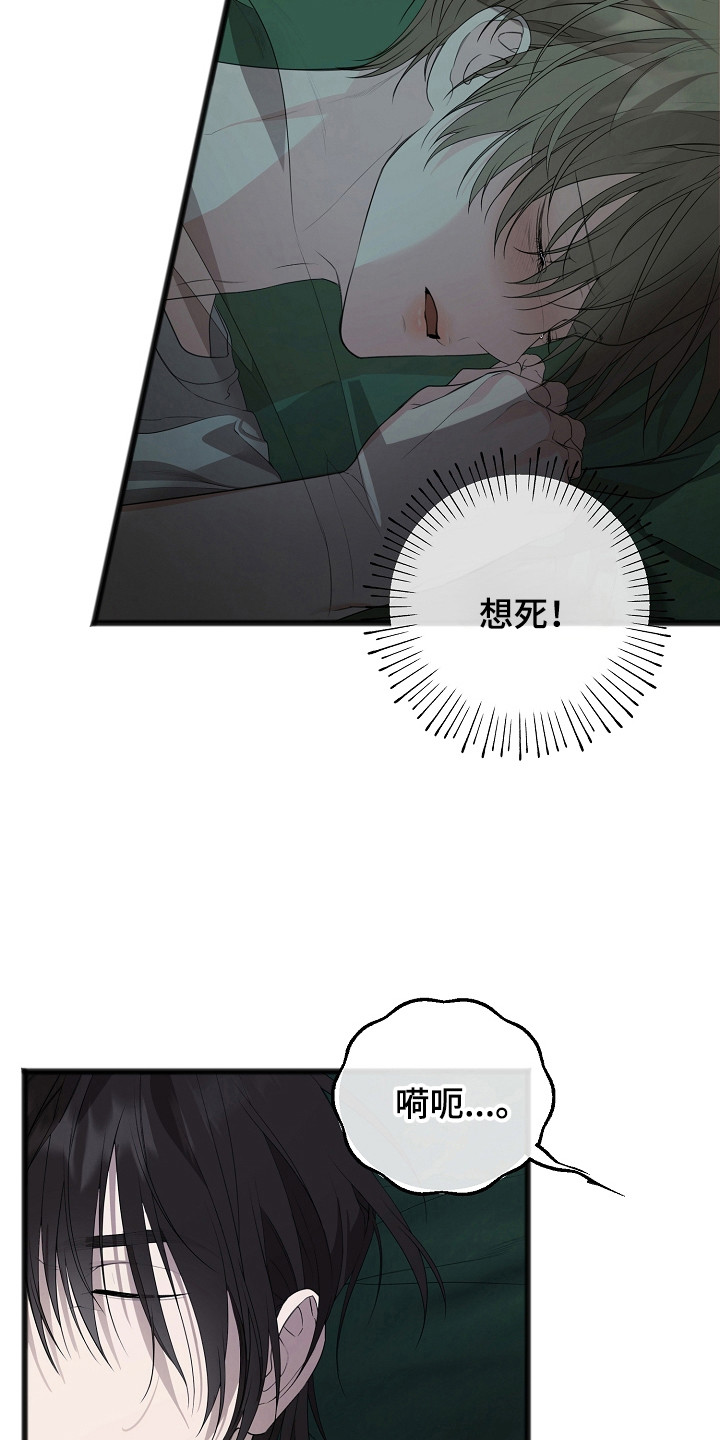 名印阴刻漫画,第15章：痛苦2图