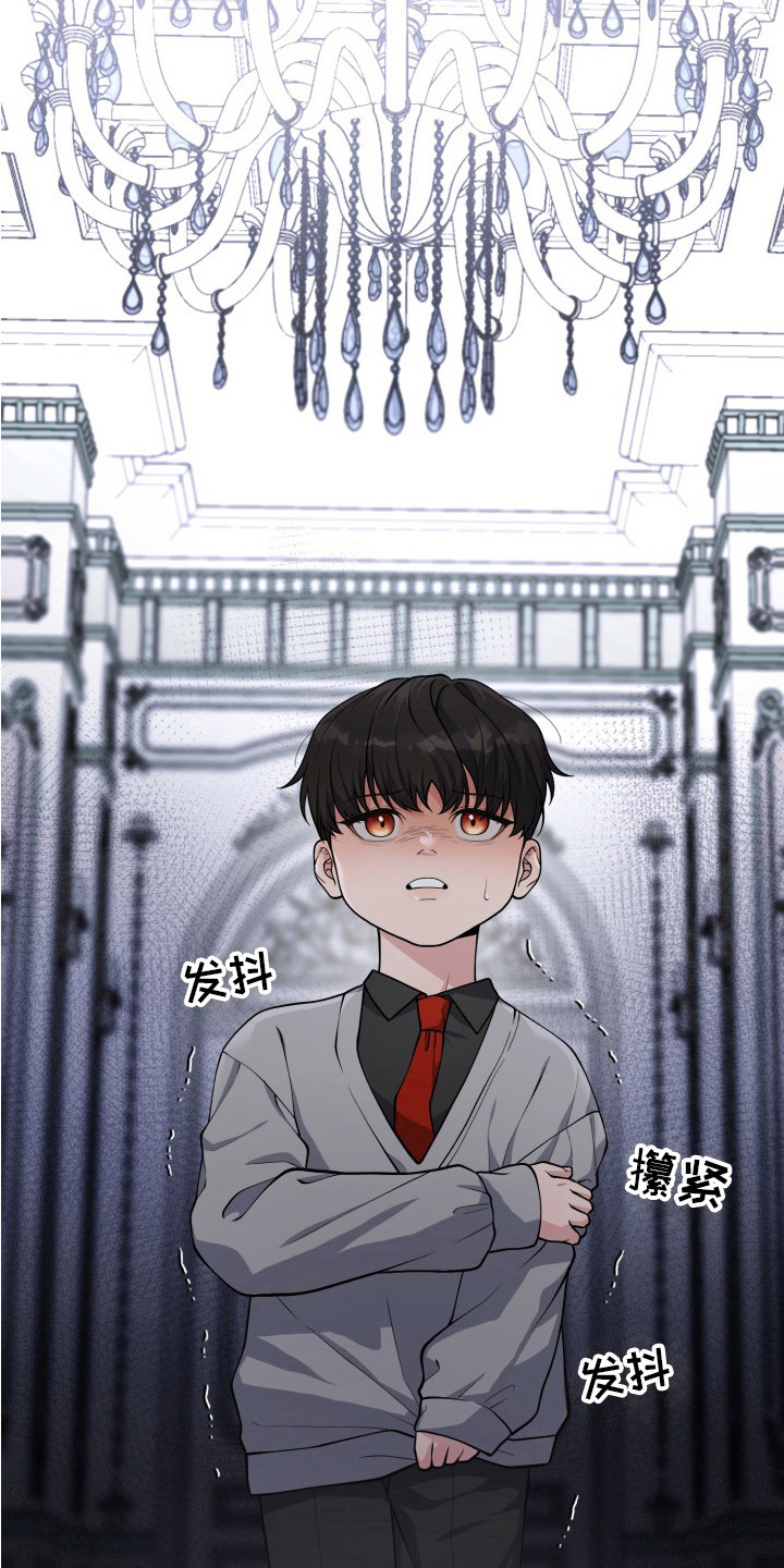 豪宅内的狂欢漫画,第10章：领养的孩子2图