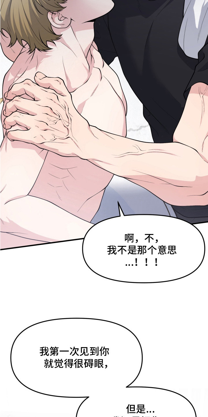 豪宅内的狂欢漫画,第10章：领养的孩子4图