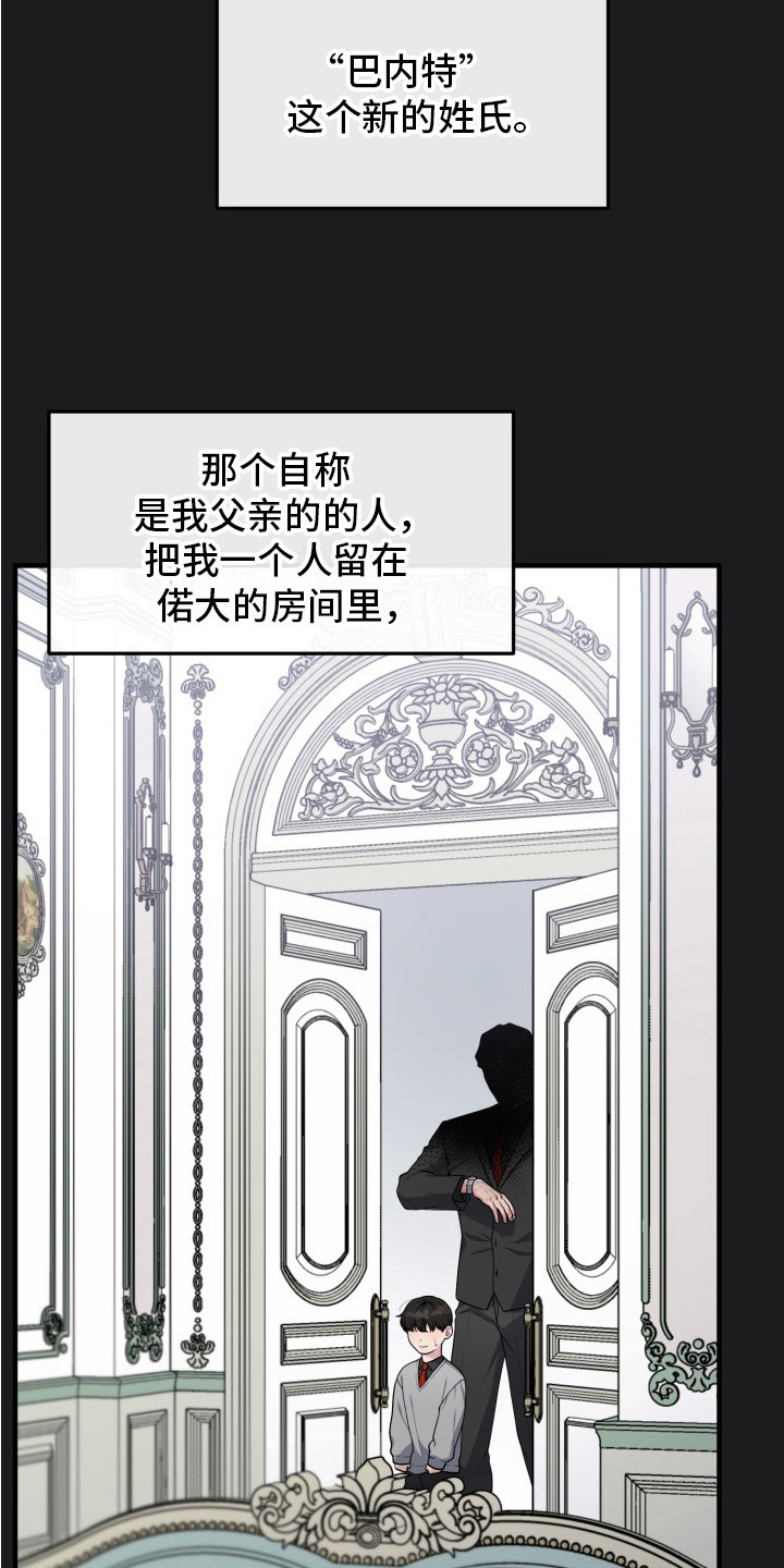 豪宅内的狂欢漫画,第10章：领养的孩子1图