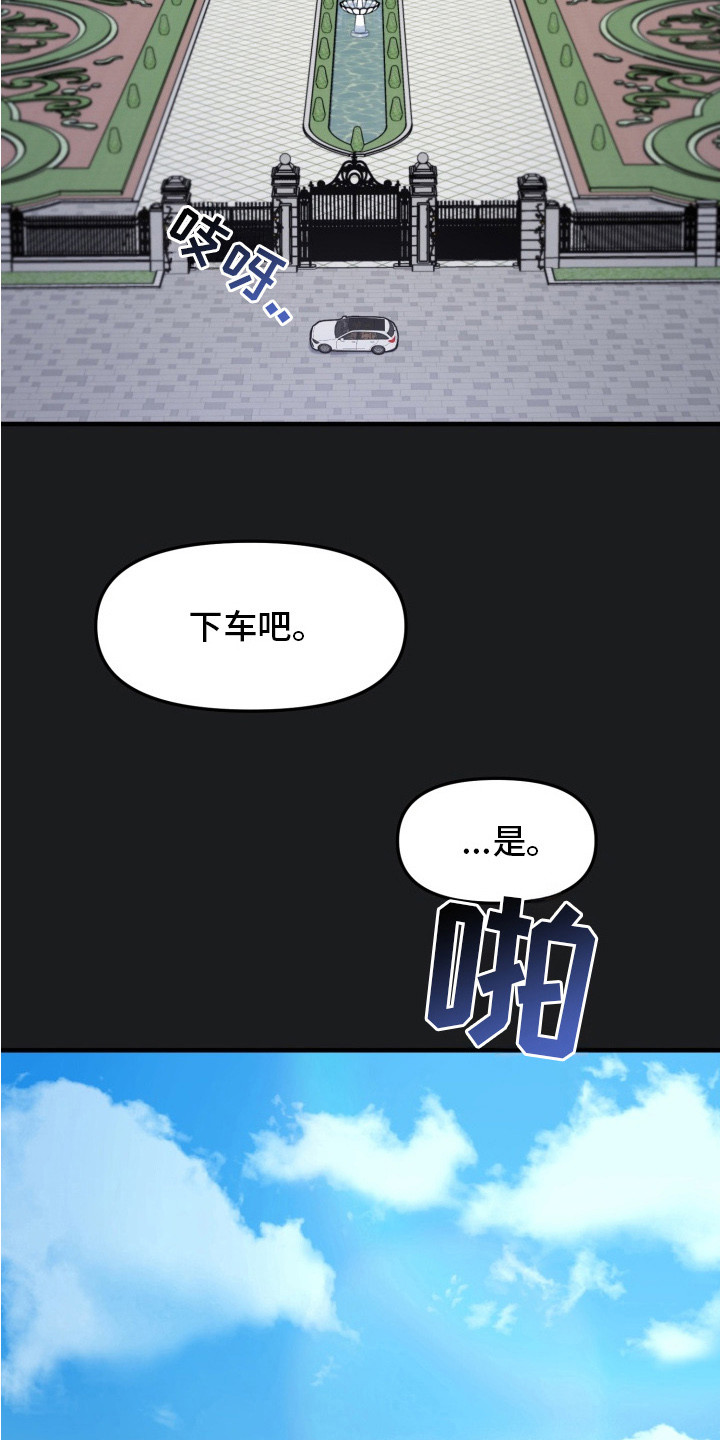 豪宅内的狂欢漫画,第10章：领养的孩子3图