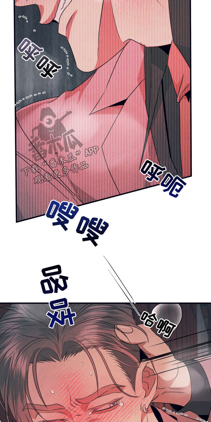 失格阿尔法漫画,第17章：太畅快了5图