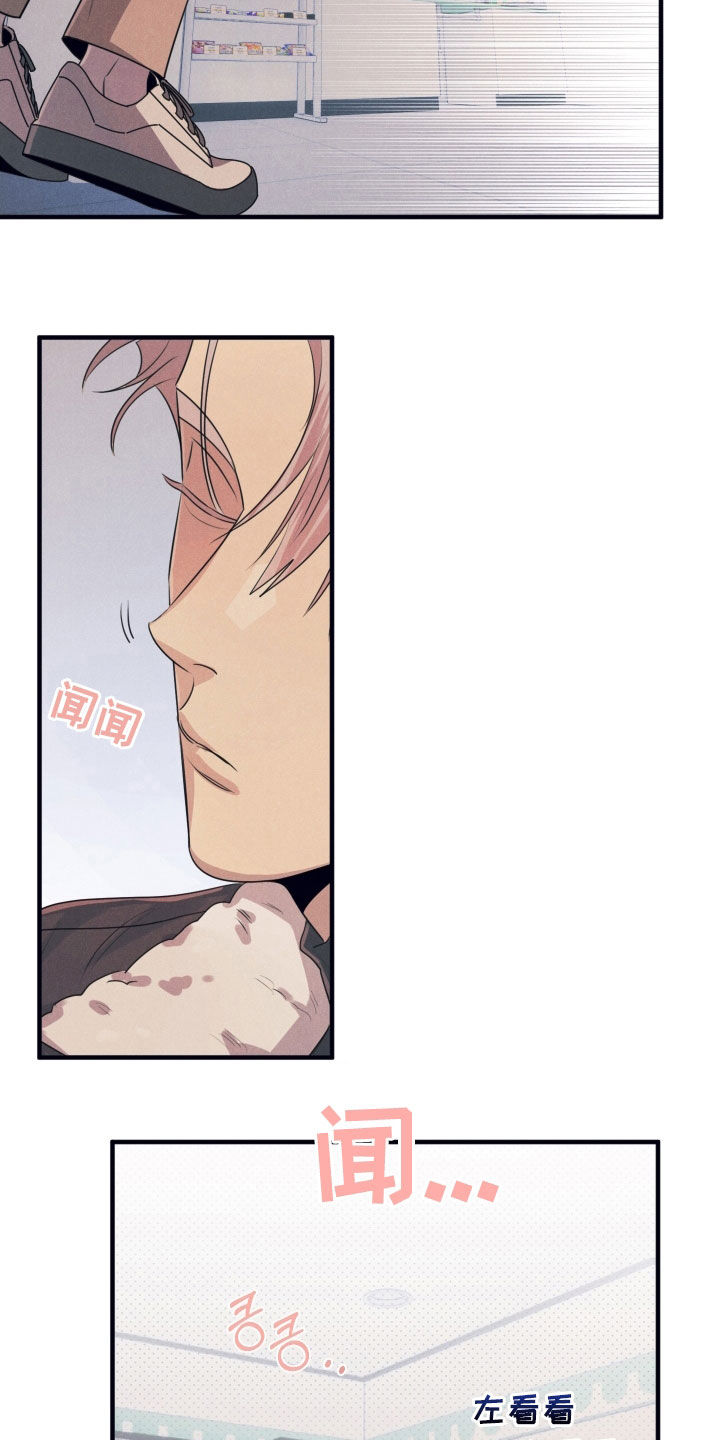 第22章：一见钟情4