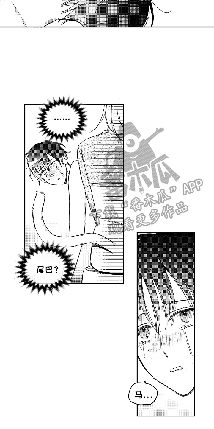 虚假的另一个他漫画,第16章：尾巴5图