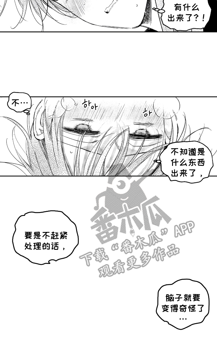 虚假的对象和真正的对象漫画,第7章：变奇怪1图
