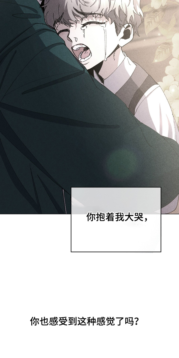 权力的代价报错漫画,第57章：请原谅我4图