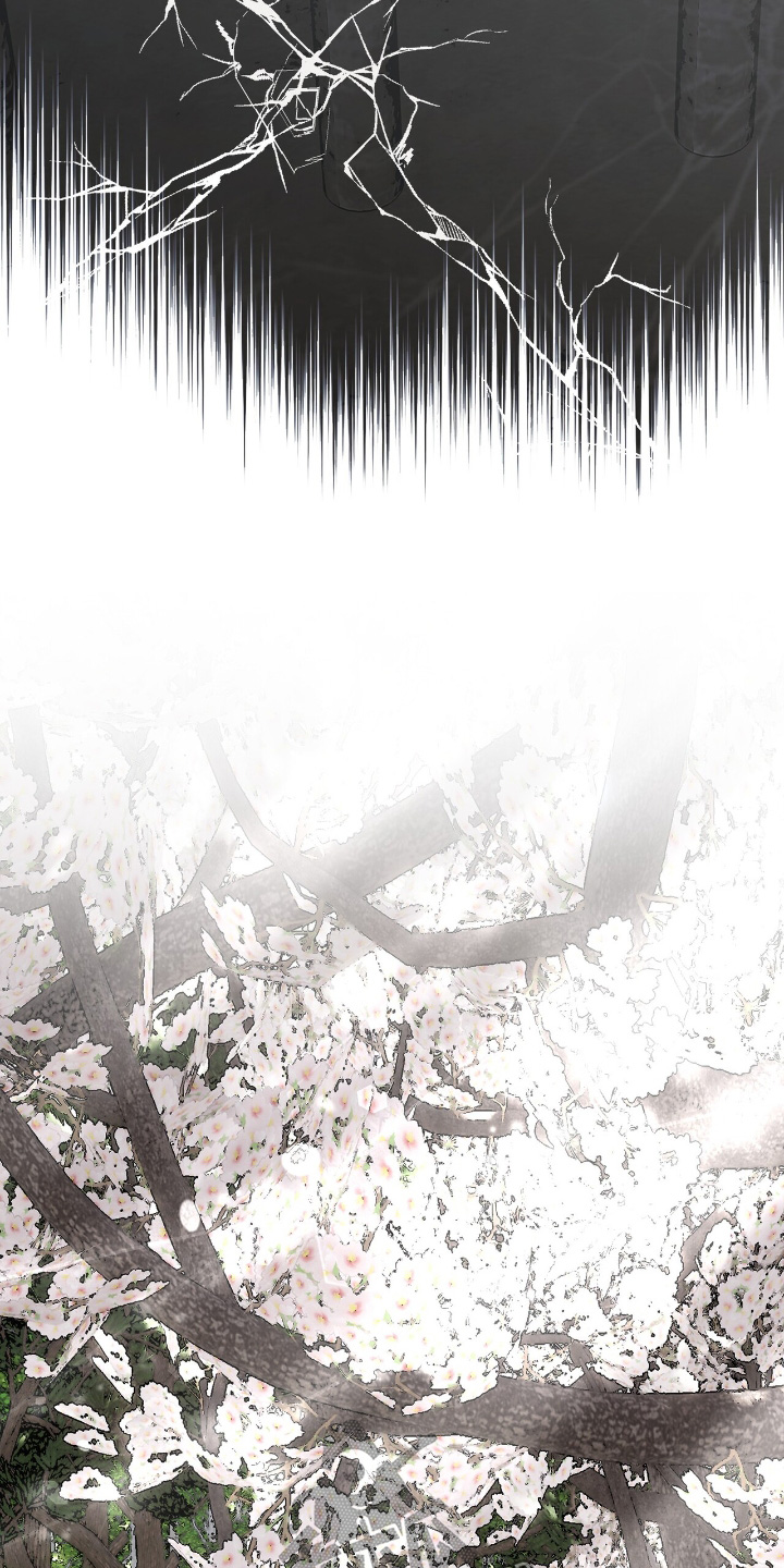 权力的代价漫画下拉式漫画,第52章：从头开始吧5图