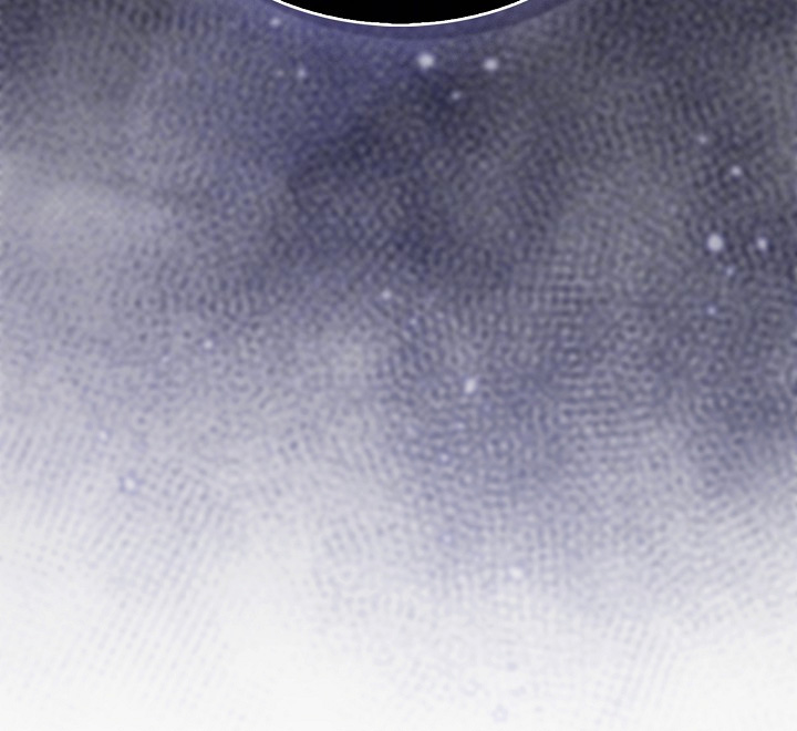 权力的代价后续漫画,第29章：他同意了5图