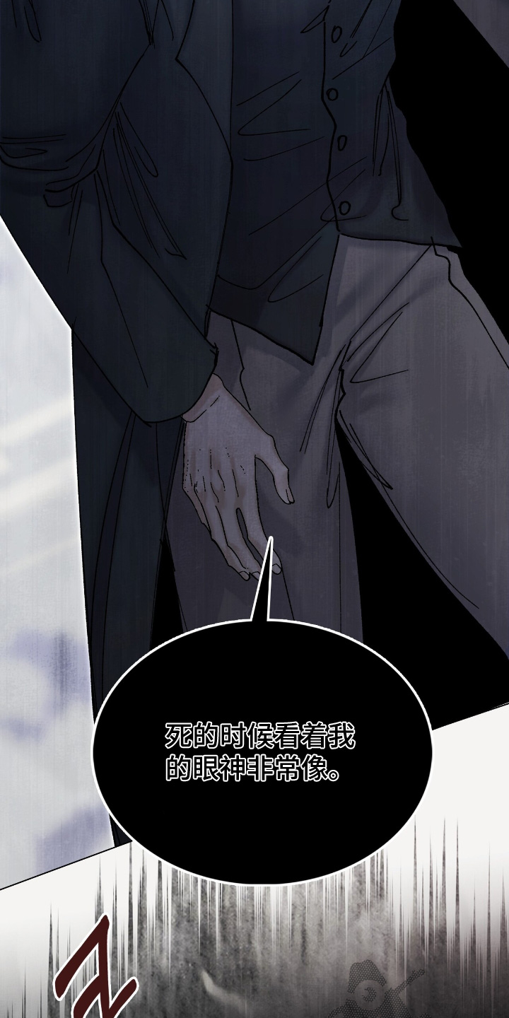 权力的代价报错漫画,第48章：是我杀的3图