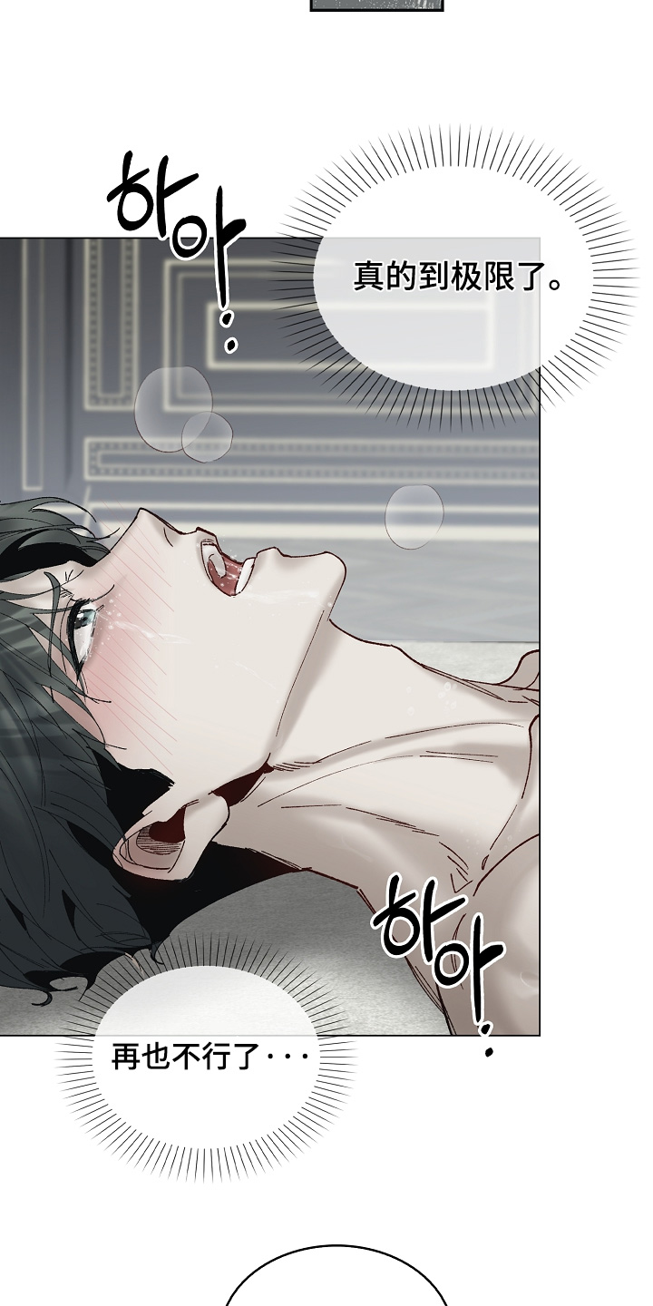 权利的代价漫画,第33章：极限2图